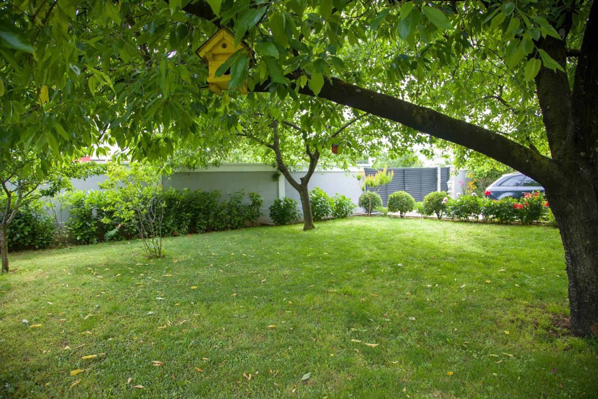 Garden *